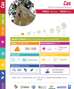 Costa Rican Guava (Cas): Technical Data Sheet