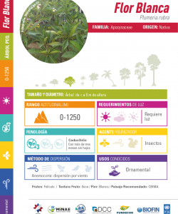 Plumeria (Flor Blanca): Technical Data Sheet